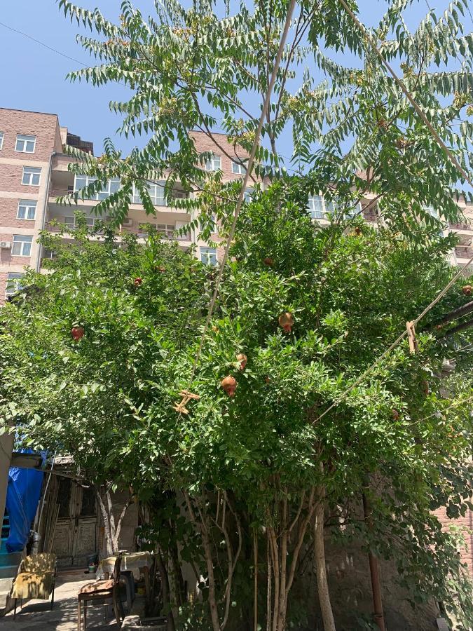 Hostel Erivan Dış mekan fotoğraf